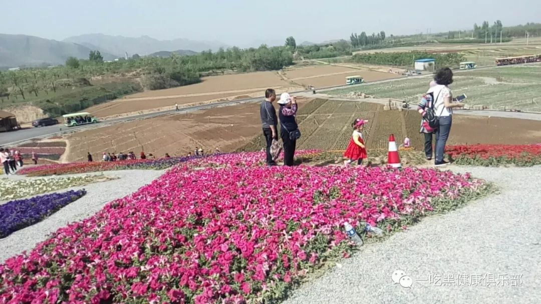 补多少硒防白内障好一点（白内障补充什么）-硒宝网