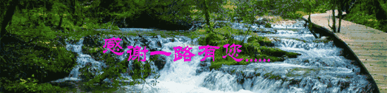 补多少硒防白内障好一点（白内障补充什么）-硒宝网