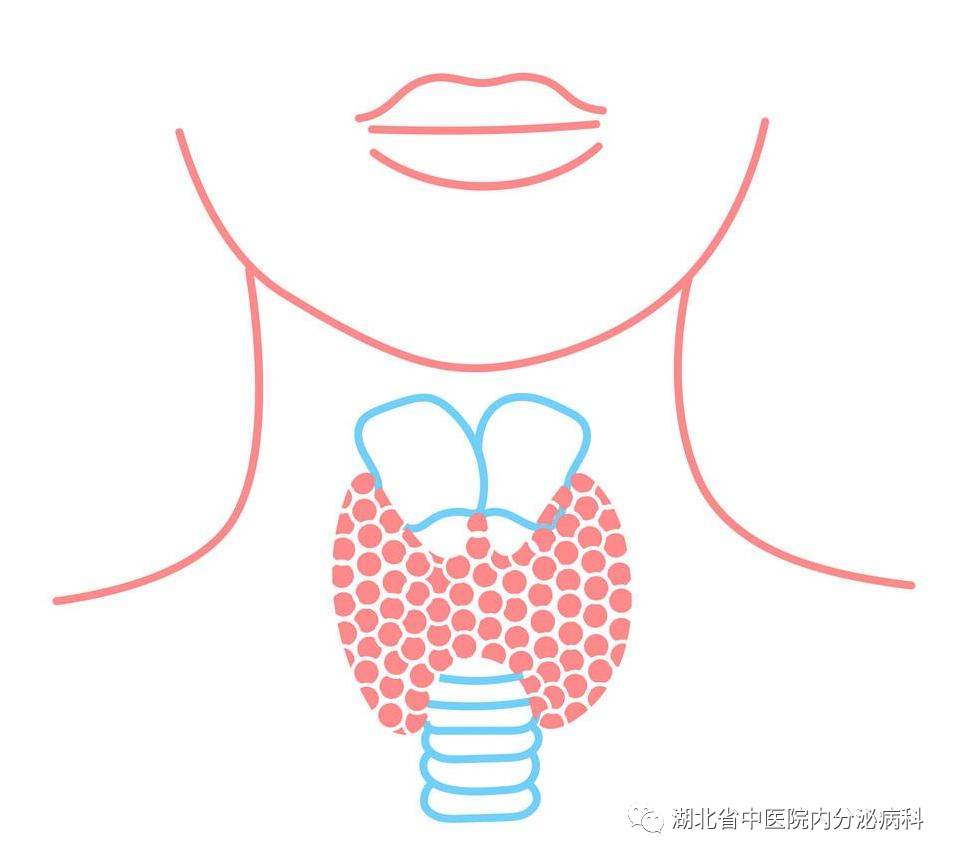 冬病夏治要不要补硒元素（冬病夏补怎么做的）-硒宝网