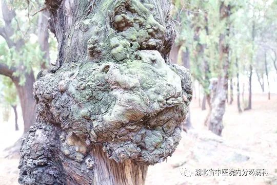 冬病夏治要不要补硒元素（冬病夏补怎么做的）-硒宝网