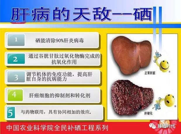 了解一下关于补硒的知识(硒的作用与攻效)-硒宝网