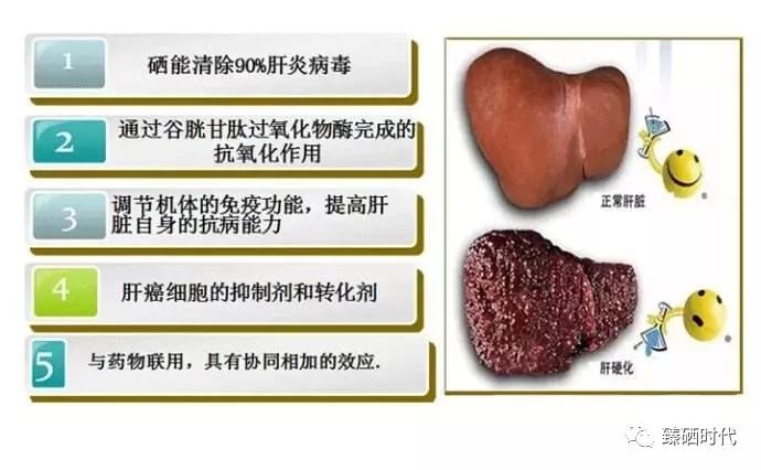 了解一下关于补硒的知识(硒的作用与攻效)-硒宝网