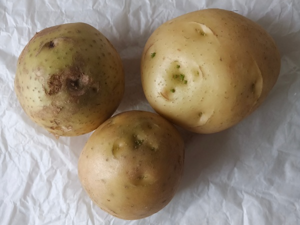 补硒能不能长期吃维生素（维生素硒可以长期服用吗）-硒宝网