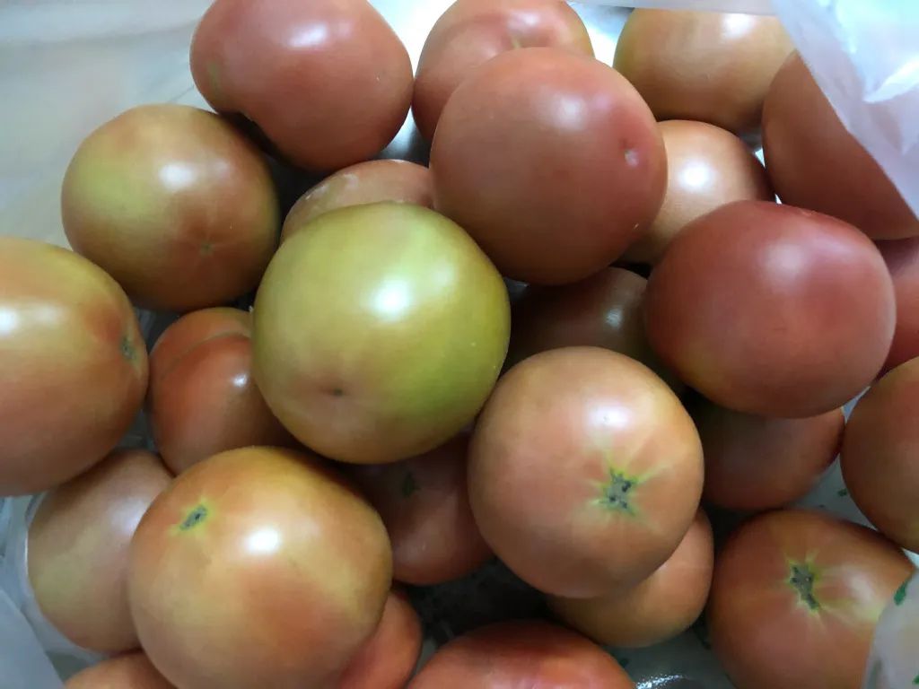 补硒能不能长期吃维生素（维生素硒可以长期服用吗）-硒宝网