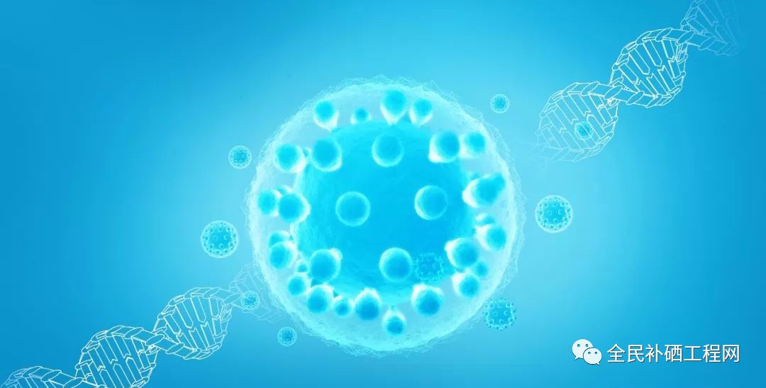 前列腺有问题补硒可以吗（前列腺炎补充硒）-硒宝网