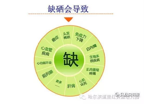 钙铁锌硒 一起补可以吗(钙铁锌硒可以长时间服用吗)-硒宝网