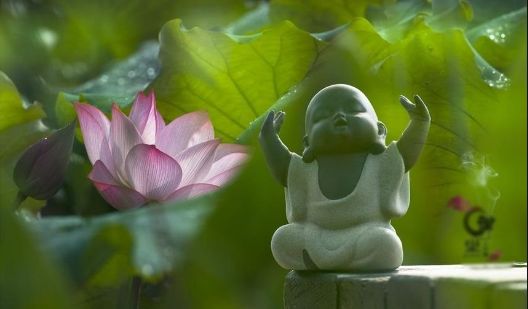 补硒要几个月才能吃药呢(吃了补硒药物对子宫有没有影响)-硒宝网