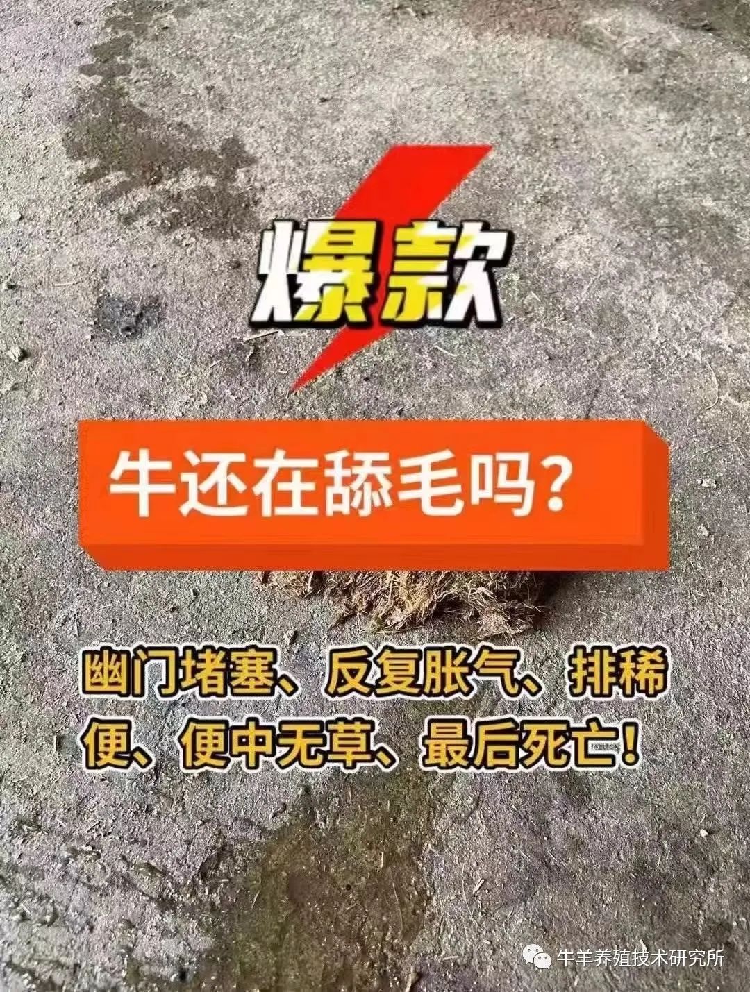 羊缺镁铜硒可以一起补吗（缺铜镁身体会怎么样）-硒宝网