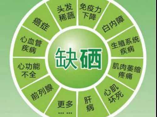 吃什么补硒和维生素B2（补充维生素硒的好处）-硒宝网