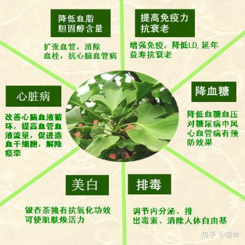 吃什么补硒和维生素B2（补充维生素硒的好处）-硒宝网