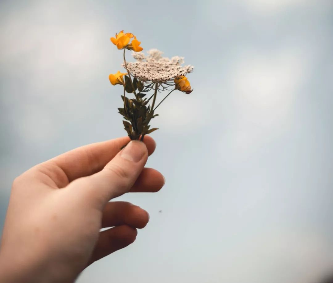 哪些维生素补硒好一点的（维生素硒吃什么）-硒宝网