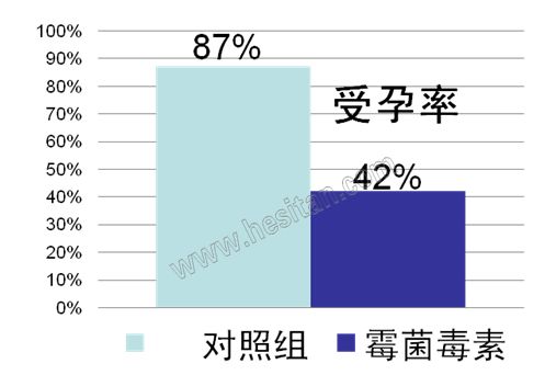 羊缺镁铜硒可以一起补吗（缺镁缺铜吃什么）-硒宝网