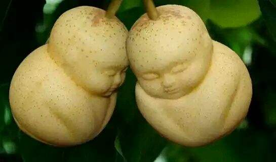 小孩子补硒吃什么好一点（小孩子补硒的好处）-硒宝网