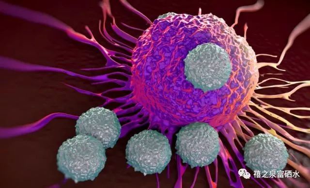 补硒第一品牌是哪个国家（补品牌国家硒是怎么补的）-硒宝网