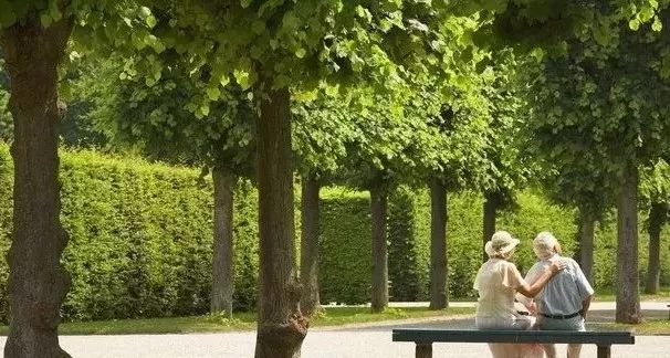 补硒第一品牌是哪个国家（补品牌国家硒是怎么补的）-硒宝网