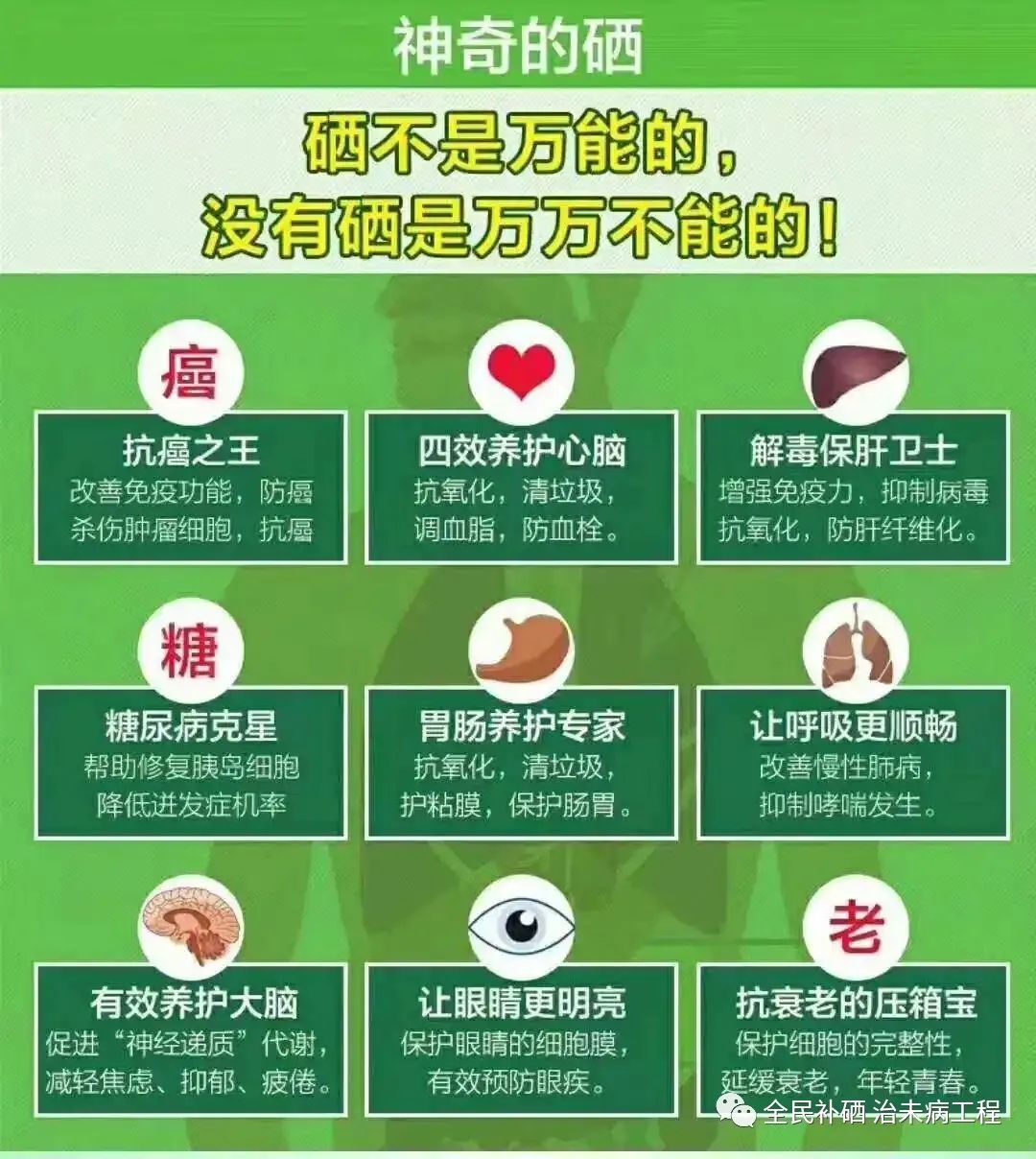 补硒第一品牌是哪个国家（国家认证的补硒产品）-硒宝网