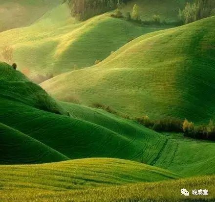 每月给鸡补一次硒可以吗(富硒鸡吃什么)-硒宝网