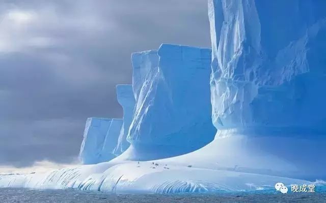 每月给鸡补一次硒可以吗(富硒鸡吃什么)-硒宝网