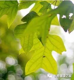 多少岁的人补硒好一点呀(补硒的误区)-硒宝网