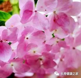 多少岁的人补硒好一点呀(补硒的误区)-硒宝网