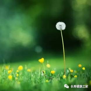 多少岁的人补硒好一点呀(补硒的误区)-硒宝网