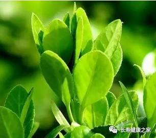 多少岁的人补硒好一点呀(补硒的误区)-硒宝网