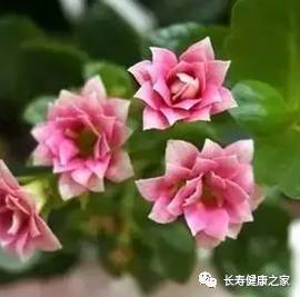 多少岁的人补硒好一点呀(补硒的误区)-硒宝网