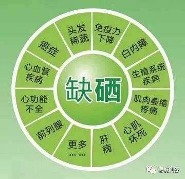 补硒有什么好处百度百科（百度硒是什么东西）-硒宝网