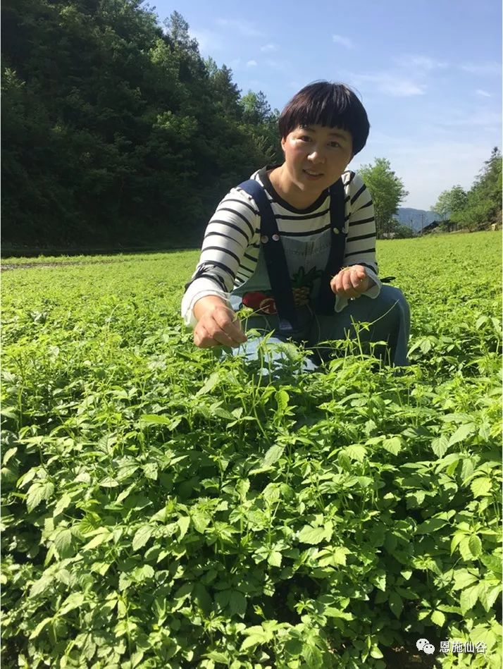 补硒有什么好处百度百科（百度硒是什么东西）-硒宝网