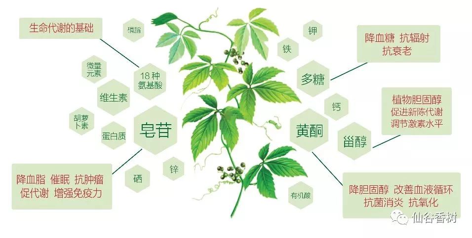 补硒有什么好处百度百科（百度硒是什么东西）-硒宝网
