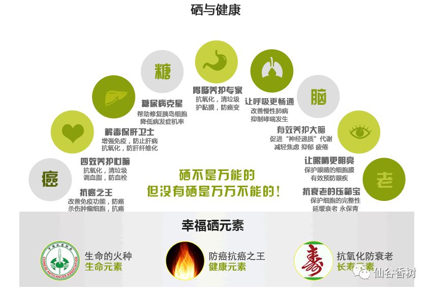 补硒有什么好处百度百科（百度硒是什么东西）-硒宝网