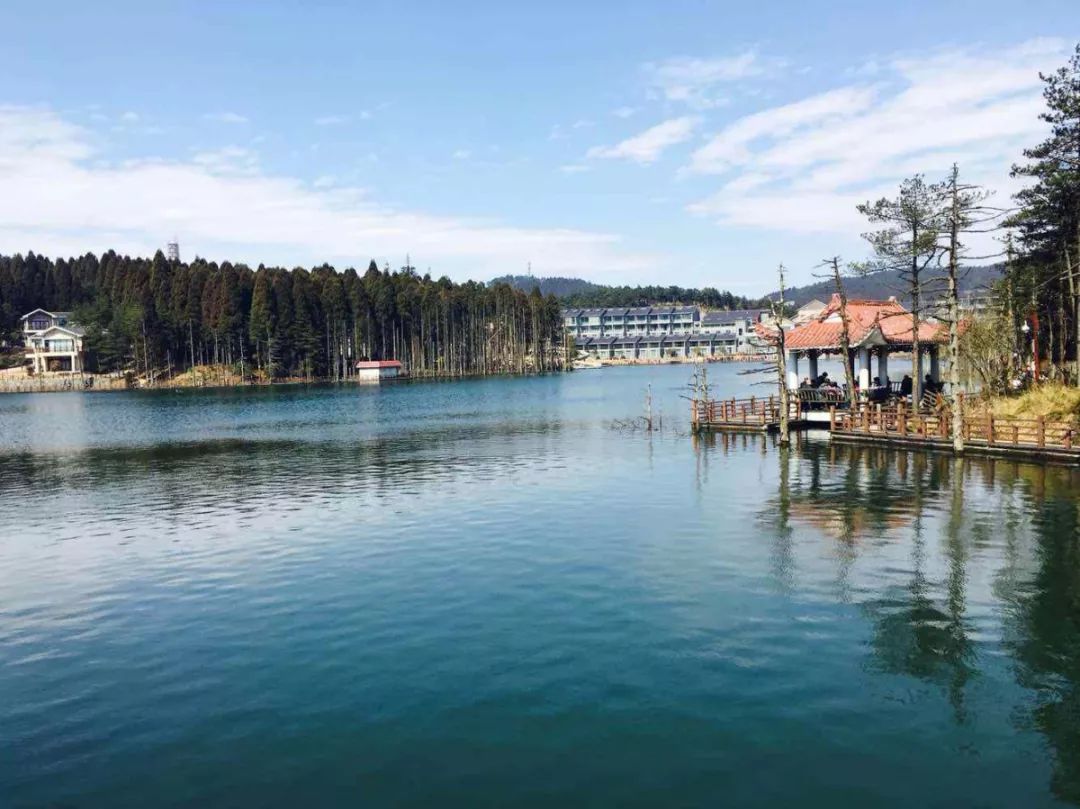 补硒有什么好处百度百科（百度百科硒的作用）-硒宝网