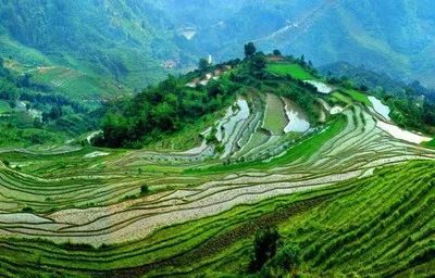 补硒有什么好处百度百科（百度百科硒的作用）-硒宝网