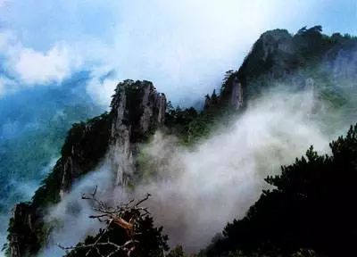 补硒有什么好处百度百科（百度百科硒的作用）-硒宝网