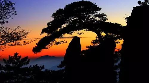 补硒有什么好处百度百科（百度百科硒的作用）-硒宝网