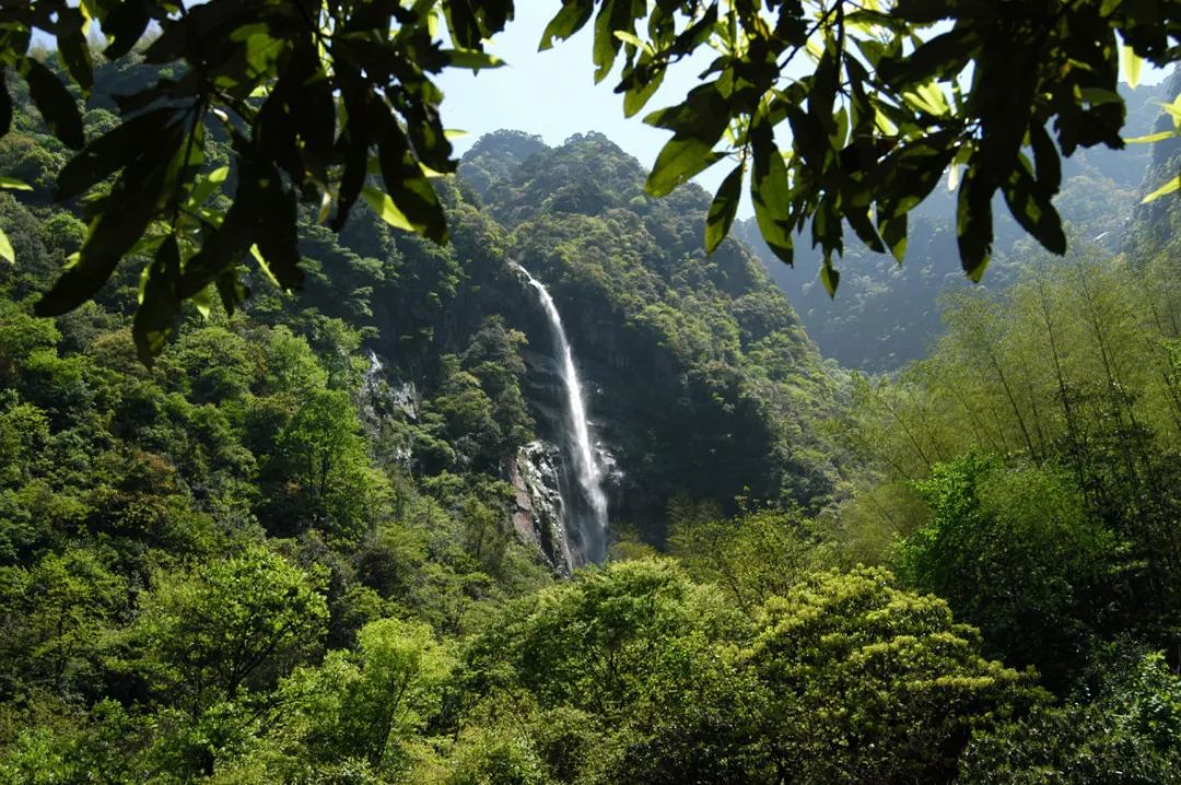 补硒有什么好处百度百科（百度百科硒的作用）-硒宝网