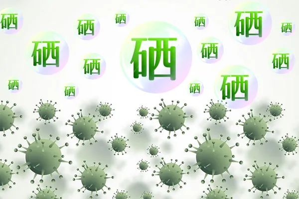 老年人补硒买什么样的好（补硒可以提高老年人的健康水平）-硒宝网