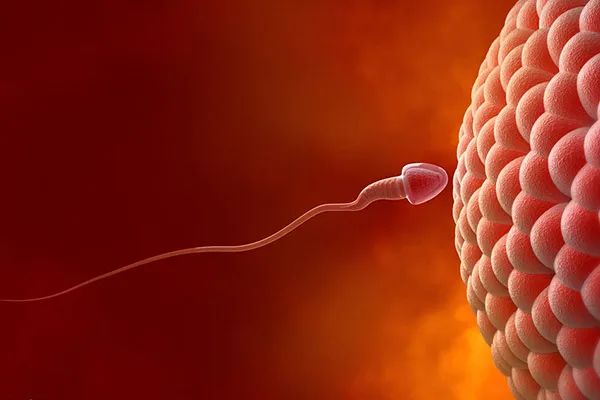 老年人补硒买什么样的好（补硒可以提高老年人的健康水平）-硒宝网