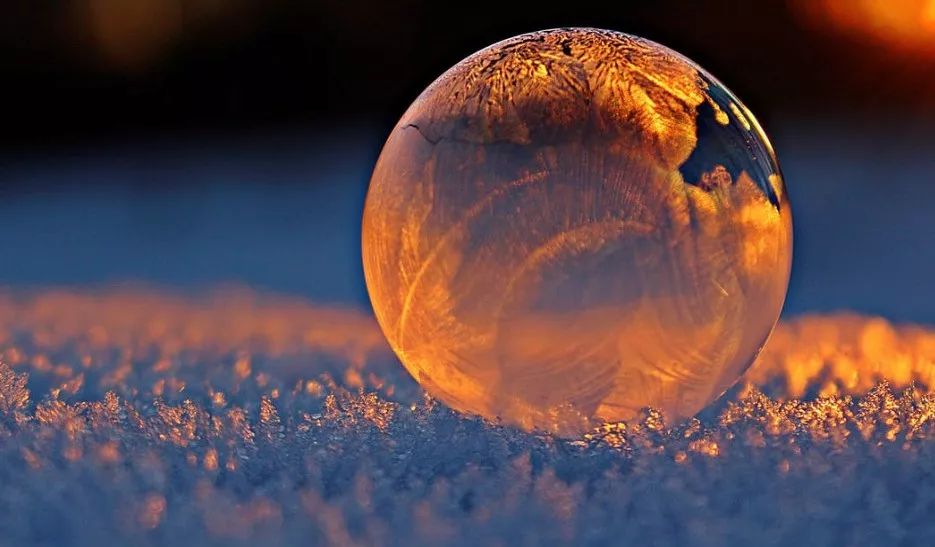 吃啥菜补维生素硒好一点(吃什么补维生素硒)-硒宝网