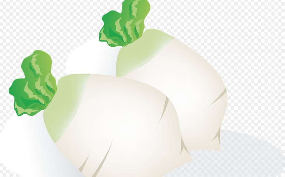 吃啥菜补维生素硒好一点(吃什么补维生素硒)-硒宝网