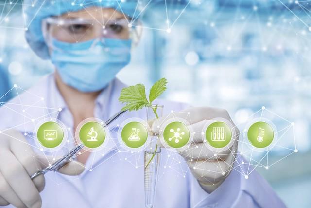 老年人要不要补硒保健品（老年人补硒的好处）-硒宝网