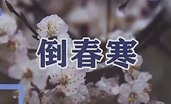 类风湿性关节炎要补硒吗(硒与类风湿性关节炎)-硒宝网