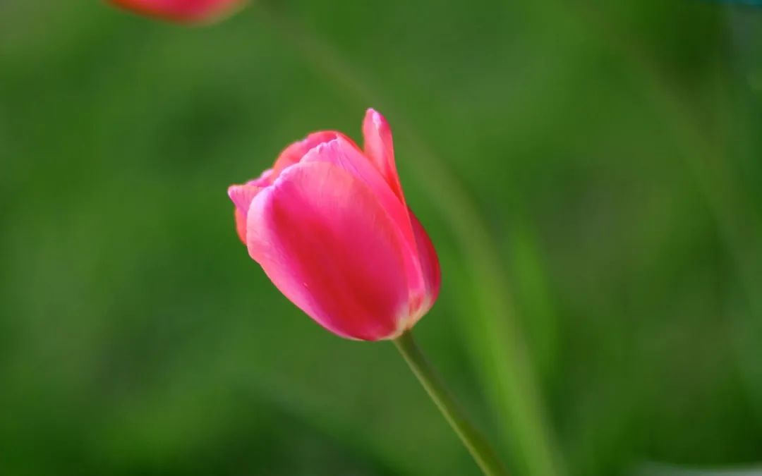 补硒药一个月多少钱吃完(吃补硒药有什么副作用)-硒宝网