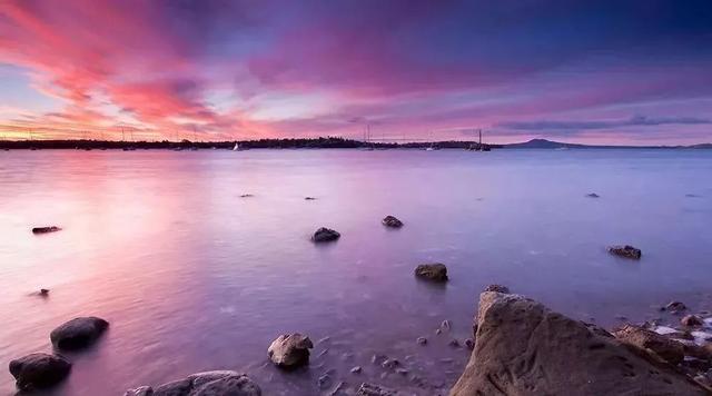 山东三旺富硒产品硒寿康（硒寿康酒）-硒宝网