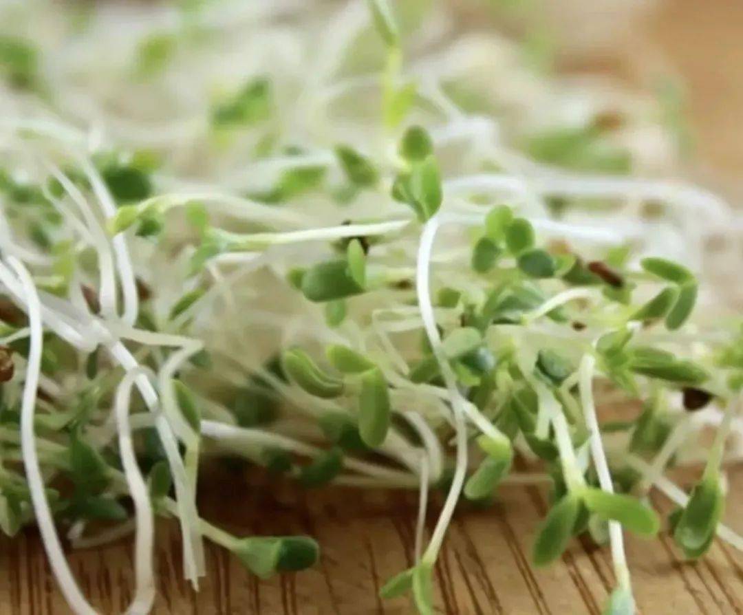 蛋白粉能和硒一块儿补吗(蛋白能补粉儿硒嘛)-硒宝网