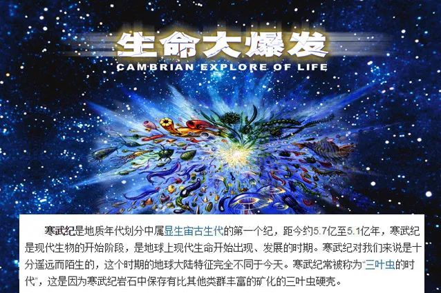 怎么判断是不是富硒产品(富硒产品怎么检验)-硒宝网