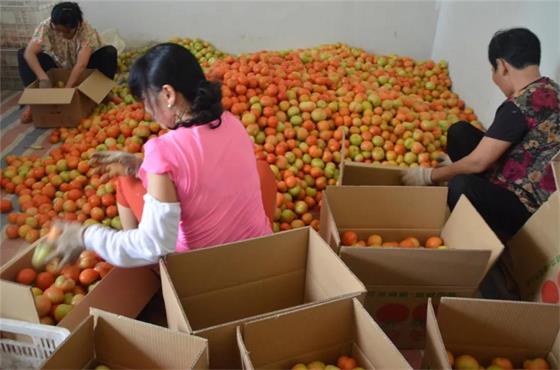 慈利有哪些富硒特产产品(特产富硒产品慈利有卖吗)-硒宝网