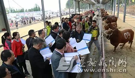 恩施富硒小土豆产品理念（恩施含硒小土豆）-硒宝网