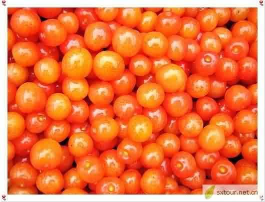 新安樱桃是富硒农产品吗(新安樱桃是富硒农产品吗)-硒宝网