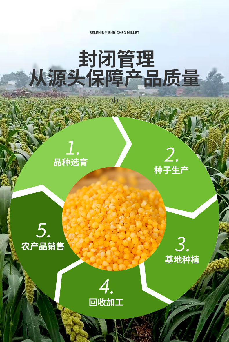 富硒农产品加工情况简介(富硒农产品企业)-硒宝网